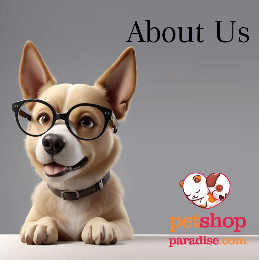 About Us