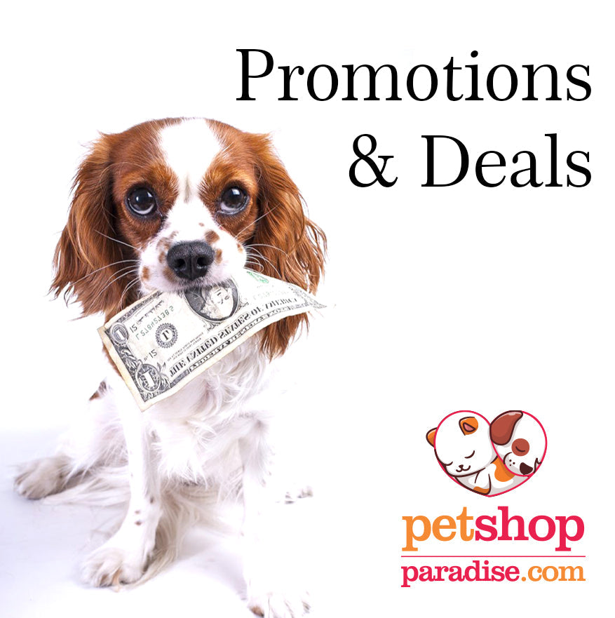 Deals & Promotions