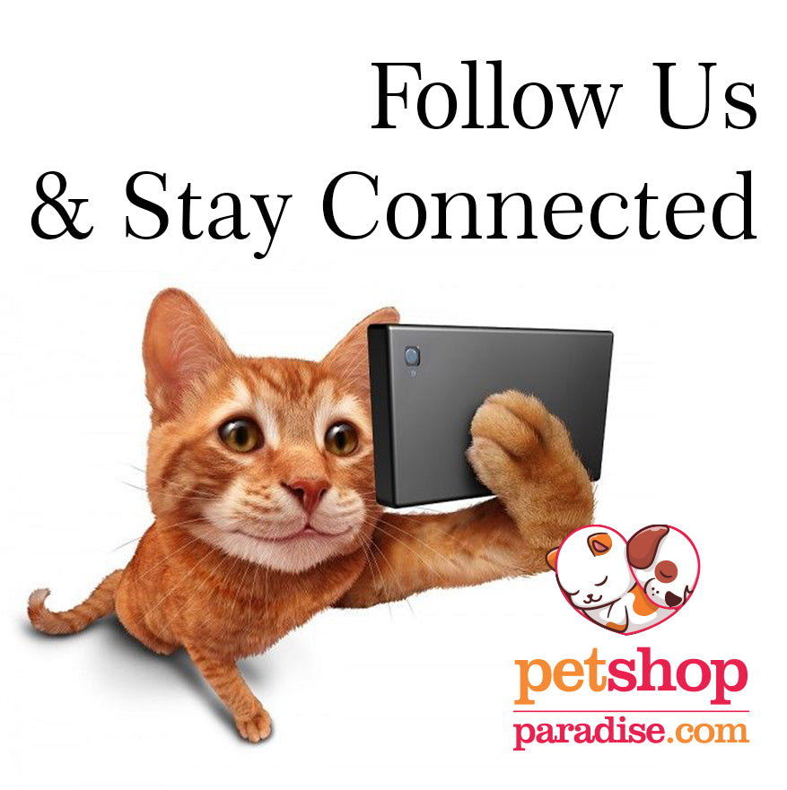 Follow Us & Stay Connected