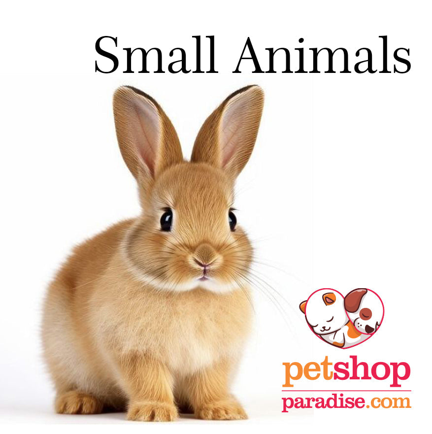Small Animals