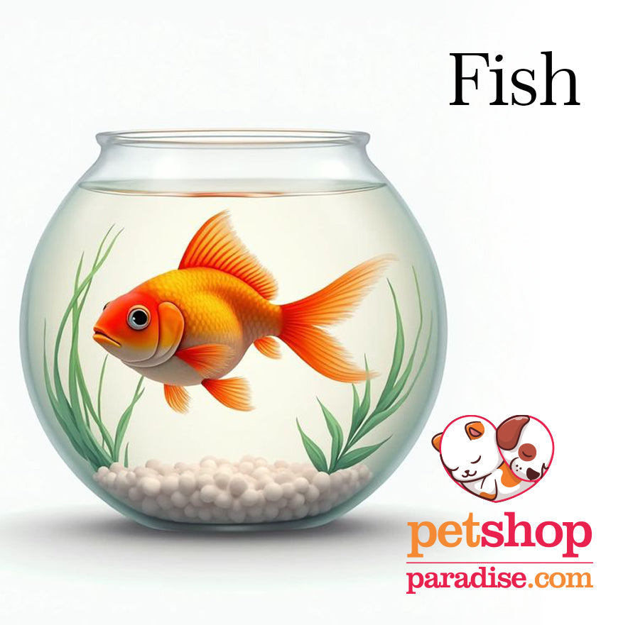 Fish