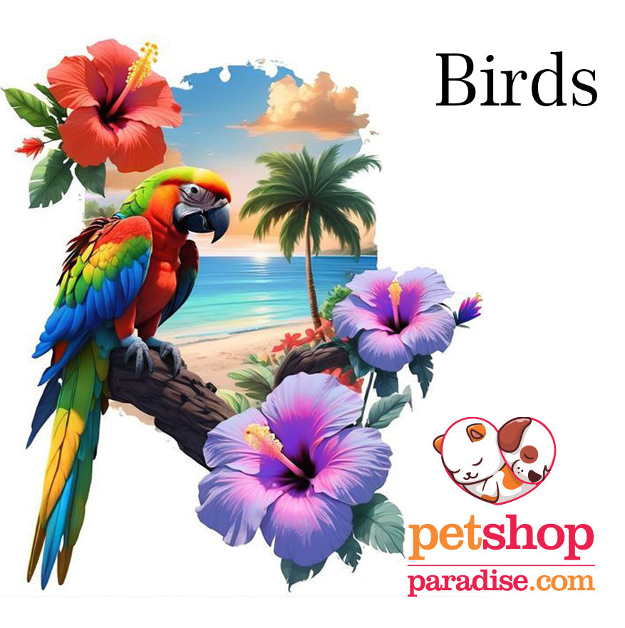 Birds