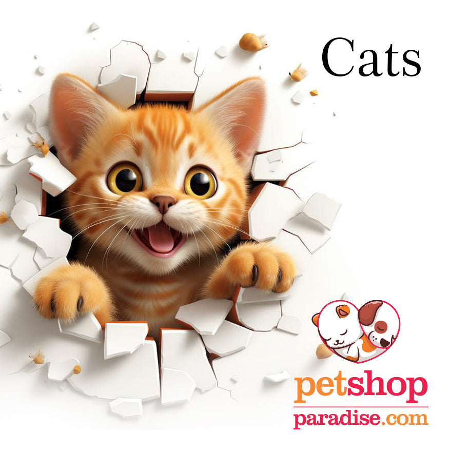 Cats