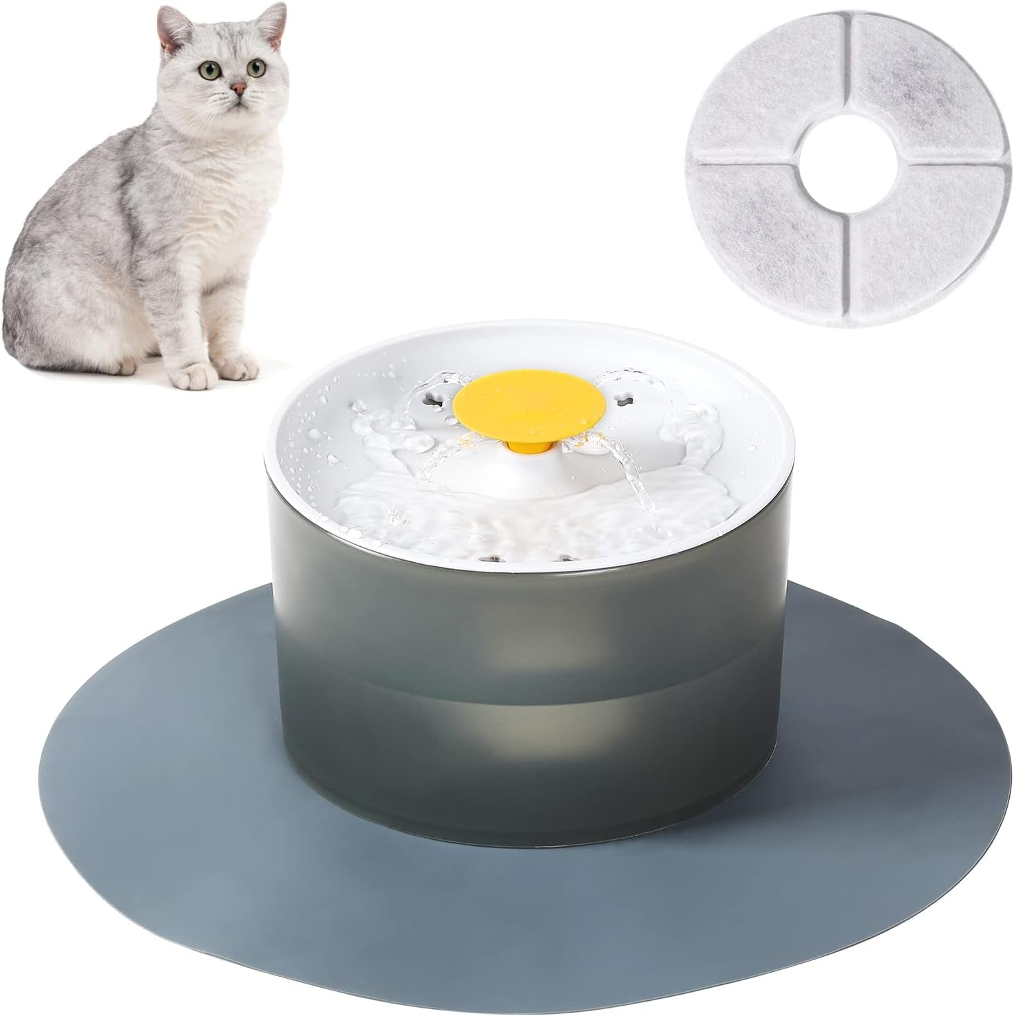 Dog Bowl